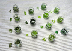 Kermit Large Bead Collection and Book