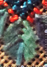 Peacock Swatch